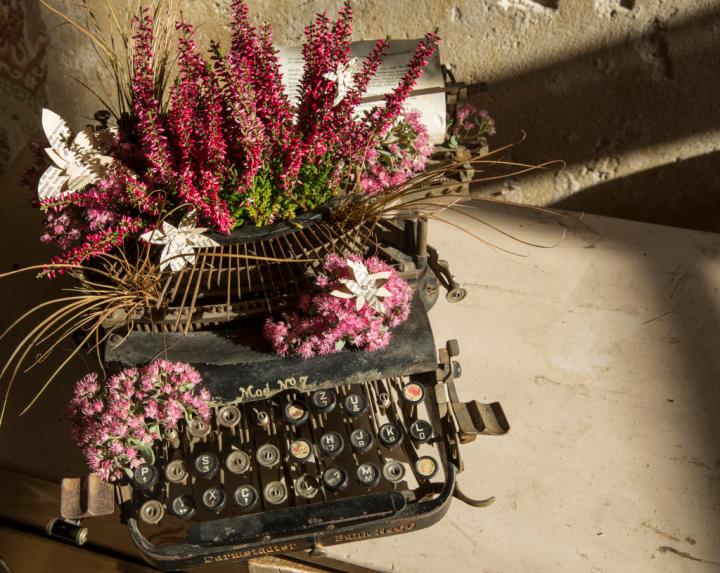 Flowers growing in a typewriter