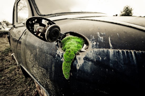 moss growing from a car