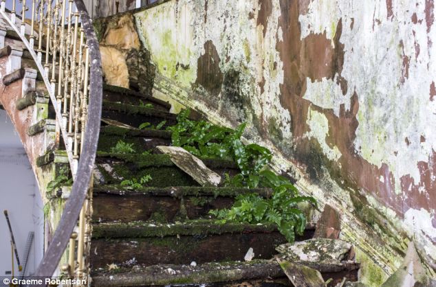 plants on stairs