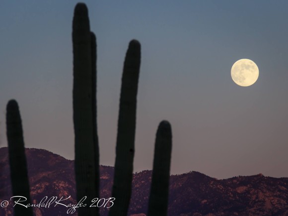 moon-Harvest-9-18-2013-Randall-Kayfes-Arizona-e1379558039113