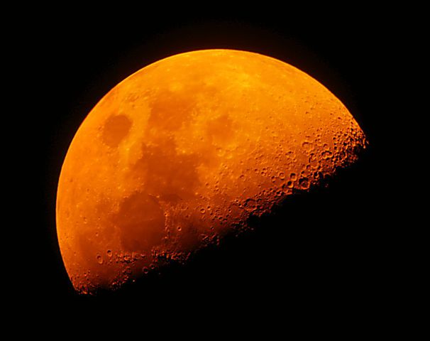 med_gallery_6699_322_1407435744_2404