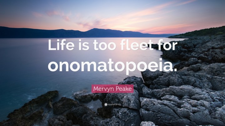1051393-mervyn-peake-quote-life-is-too-fleet-for-onomatopoeia