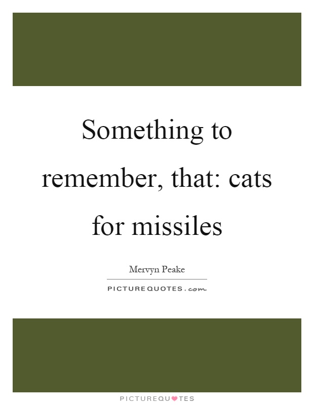 something-to-remember-that-cats-for-missiles-quote-1