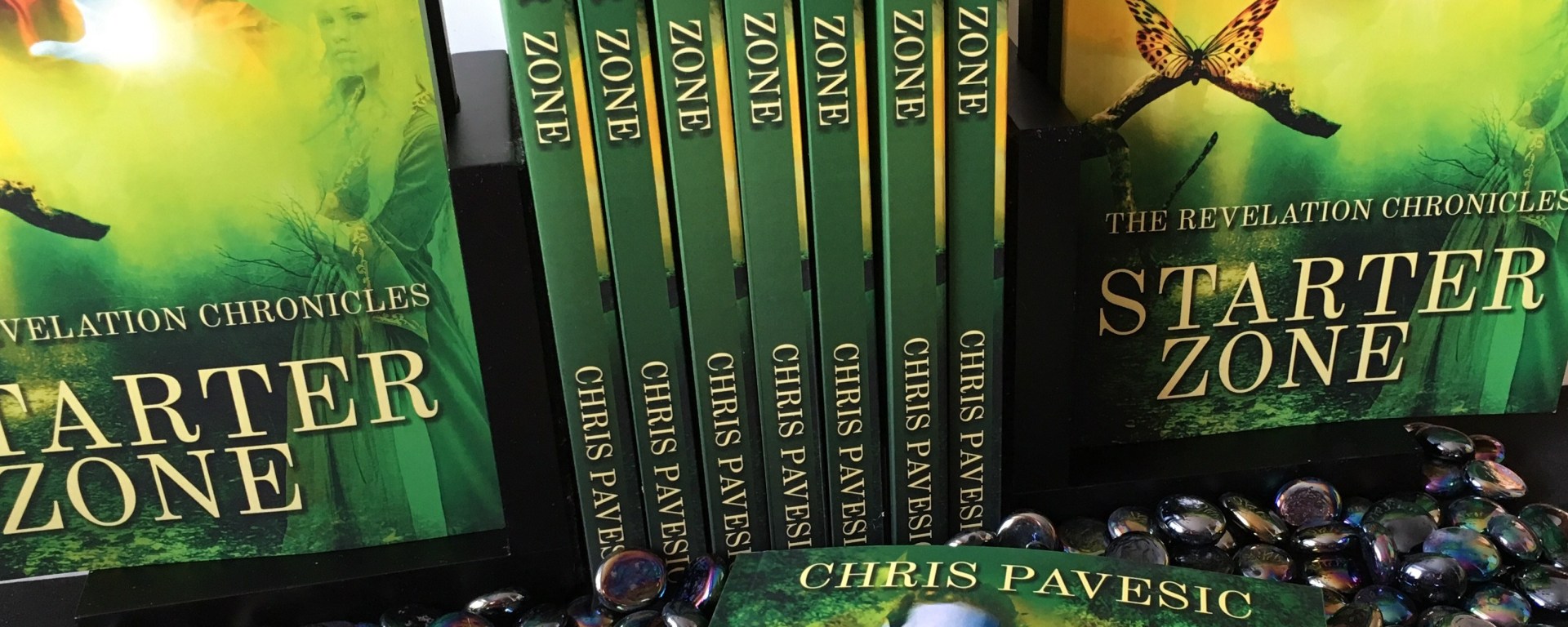 Starter Zone: The Revelation Chronicles by Chris Pavesic